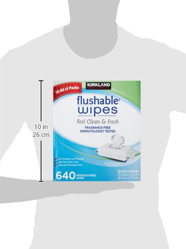 Kirkland Signature Toallitas desechables prehumedecidas, sin fragancia, 640 unidades