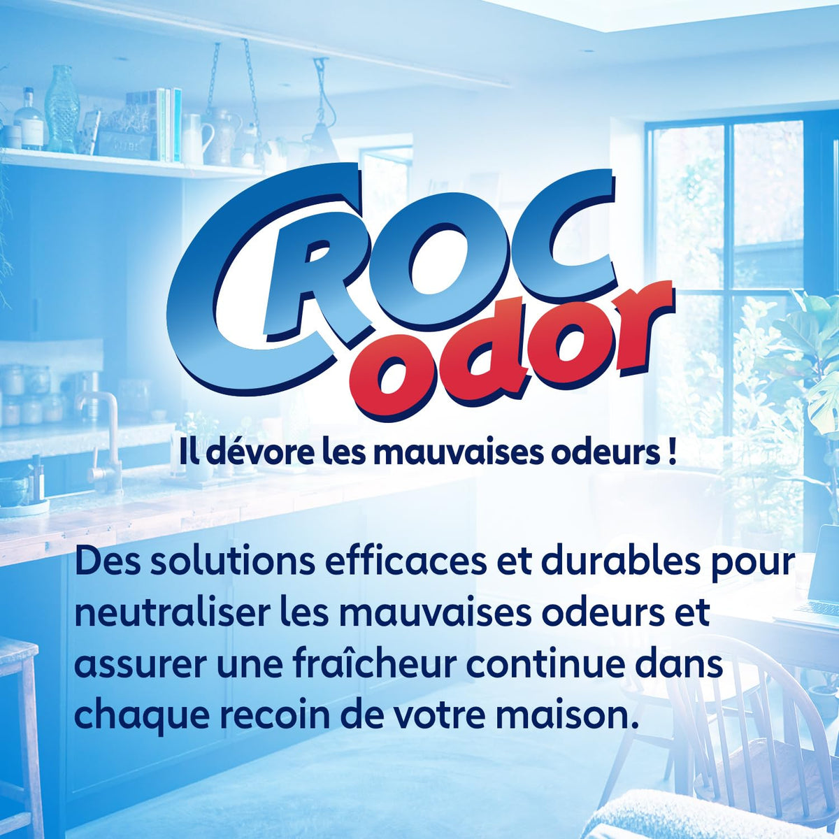 CROC'ODOR Désodorisant pour Frigo 140 g Taille XL