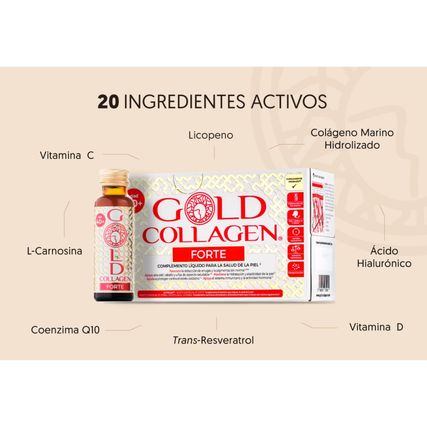 GOLD COLLAGEN Forte - Complemento de Colágeno Marino Hidrolizado Antiarrugas para Sistema Inmunitario con Vitamina C y Ácido Hialurónico, Biotina para el Cabello Piel y Uñas 1 Caja 10 Botellitas 50 ml