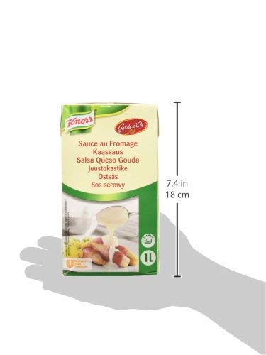 Knorr Garde D'Or Salsa Queso Gouda líquida lista para usar brik 1L