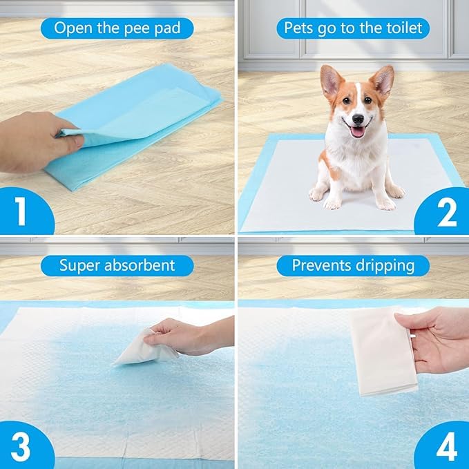 Empapadores para Perros 60x60 cm - 100 Unidades | Almohadillas de Adiestramiento Ultraabsorbentes | 5 Capas Antifugas, Secado Rápido | Ideal para Cachorros y Perros Mayores