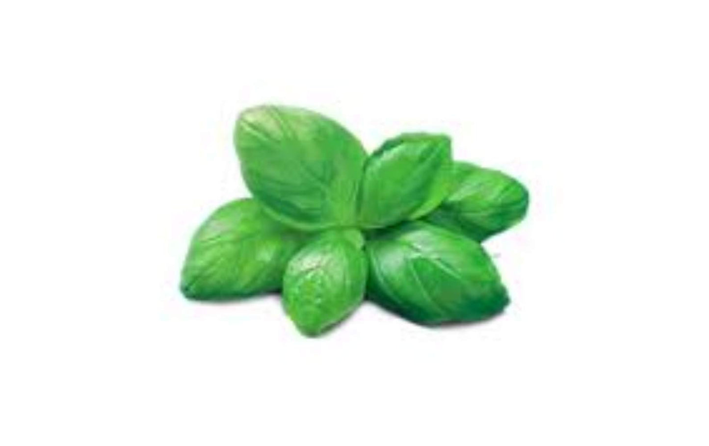 PESTO GENOVESE BARILLA POUCH GR500