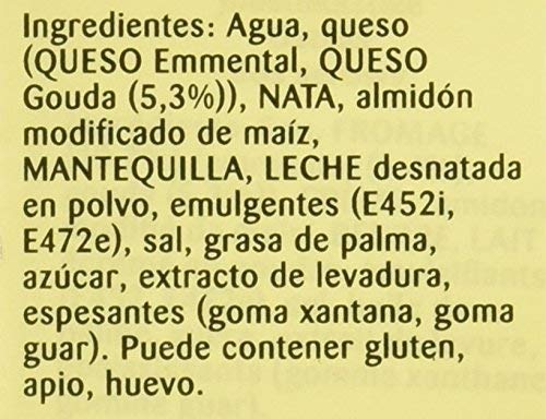 Knorr Garde D'Or Salsa Queso Gouda líquida lista para usar brik 1L