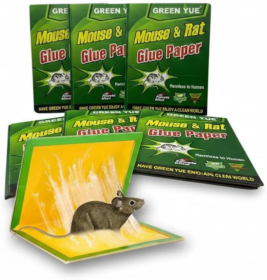 Trampas Adhesivas para Ratones y Ratas - Placas de Pegamento Ultra Eficaces Sin Químicos - Control de Plagas para Hogar Interior y Exterior - Fácil Uso y Seguro (6)