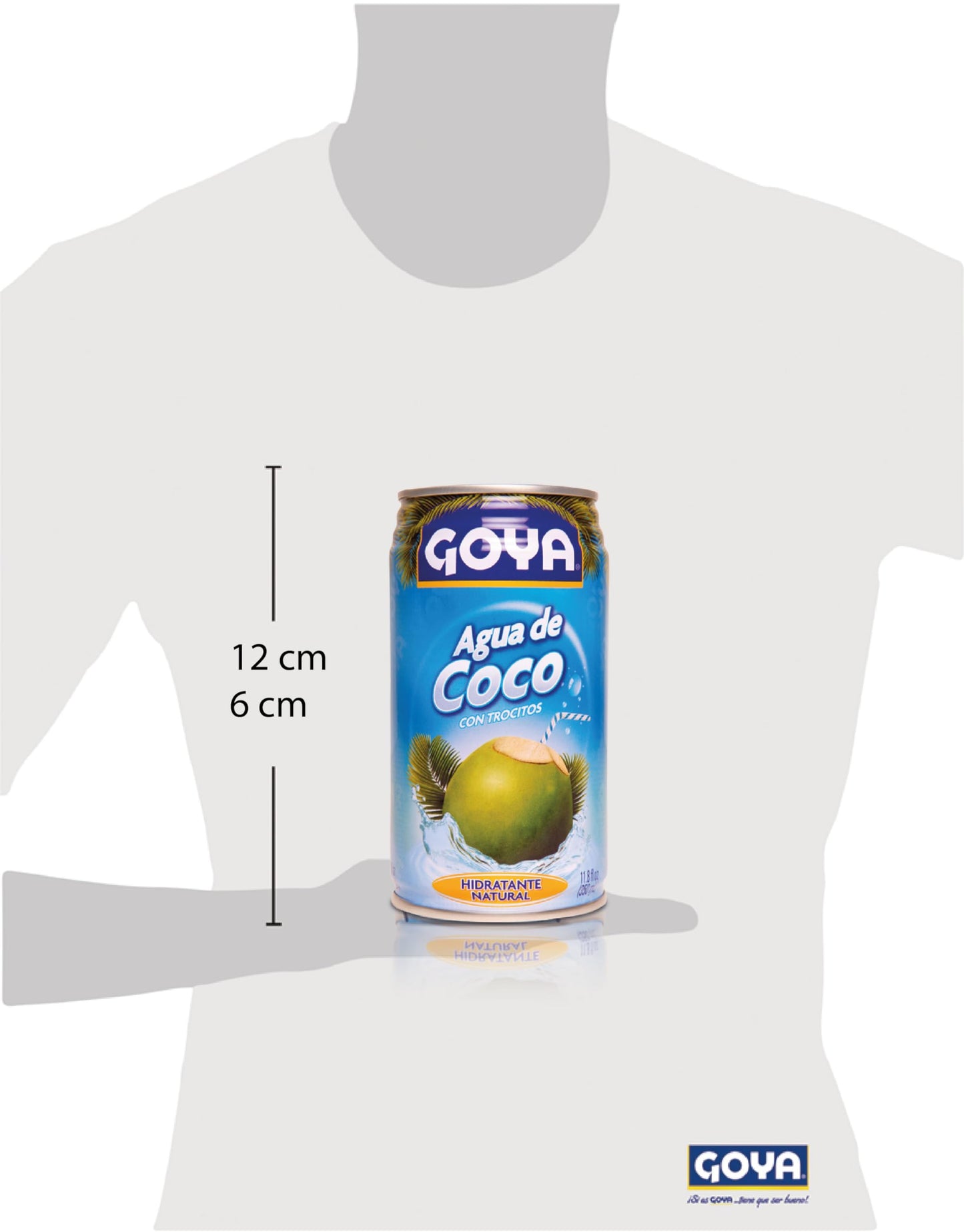 Goya Agua de Coco, 350ml