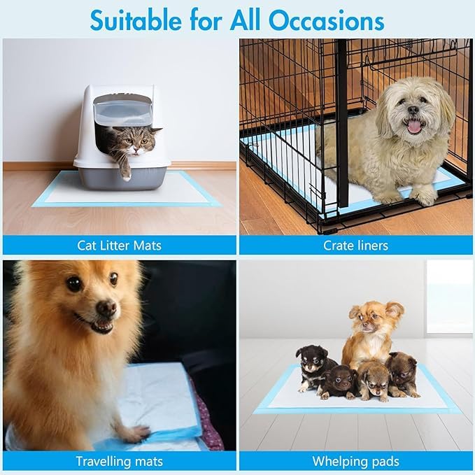 Empapadores para Perros 60x40 cm - 100 Unidades | Almohadillas de Adiestramiento Ultraabsorbentes | 5 Capas Antifugas, Secado Rápido | Ideal para Cachorros y Perros Mayores