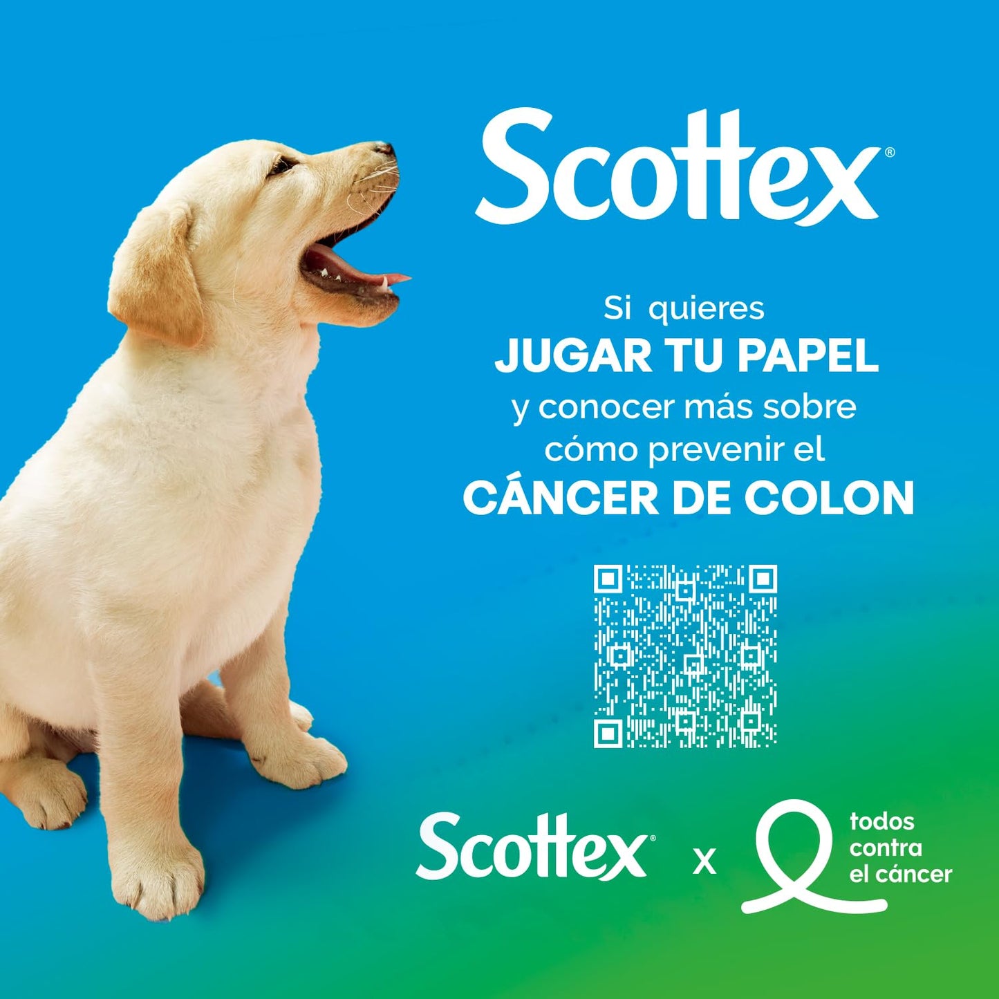 Scottex Megarollo Papel Higiénico Seco 12 rollos (24 rollos de un rollo original)