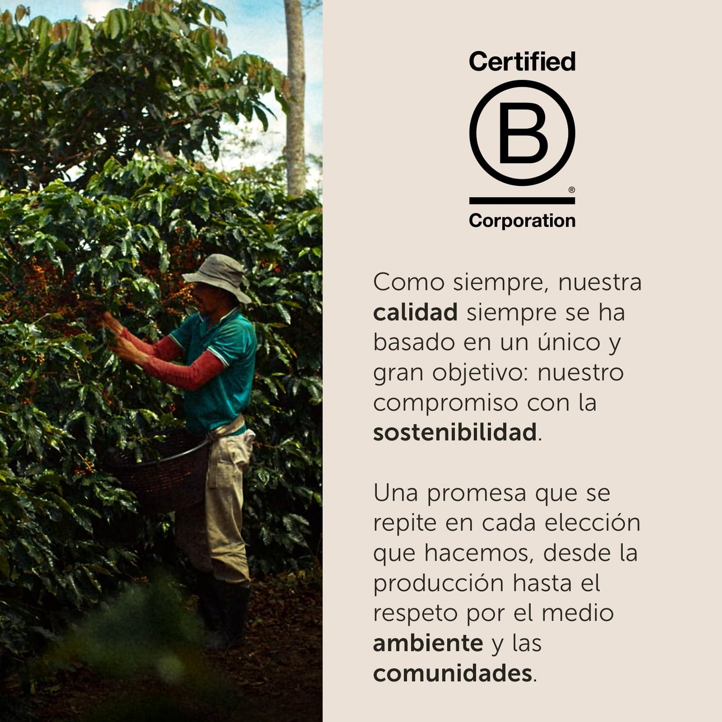 illy, Café Molido Espresso de Tueste CLASSICO, 100% Arábica con Notas de Azahar y Jazmín, Sabor Suave y Sabor Final Dulce, 1 Lata de 250g