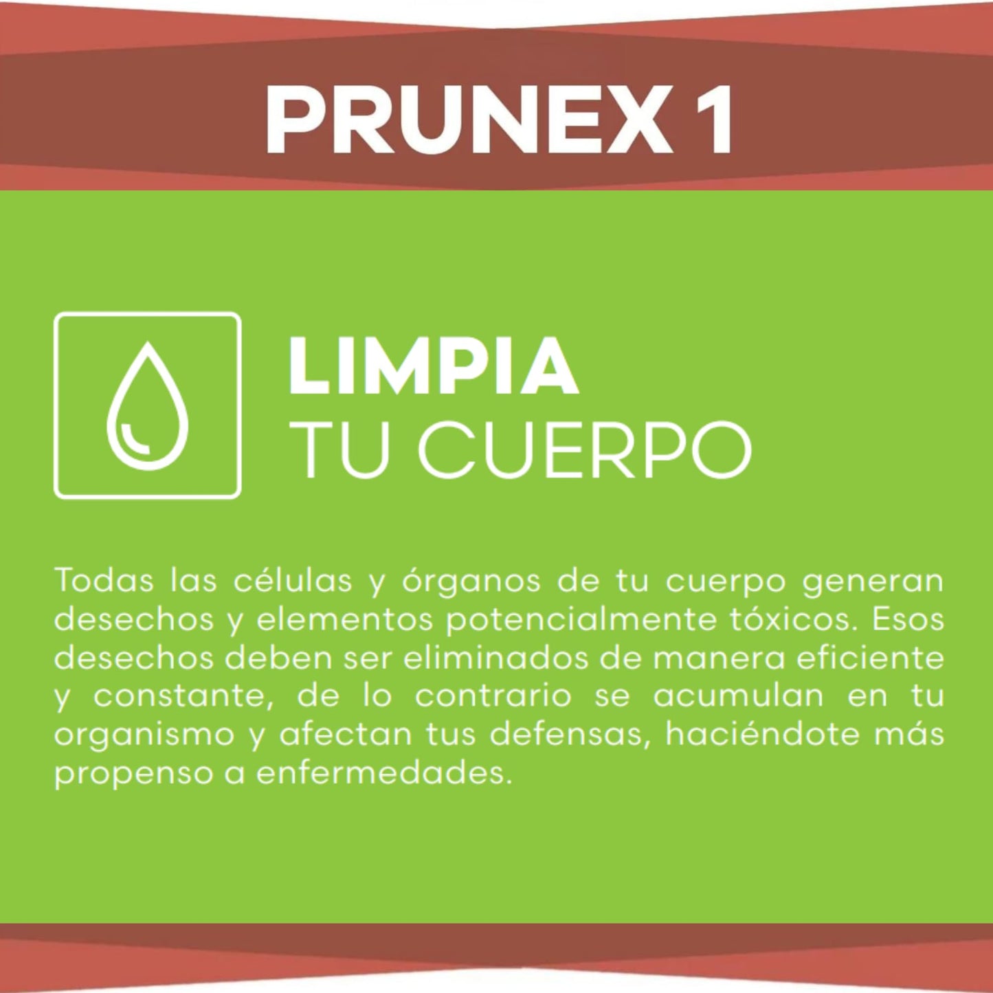 FUXION - Prunex 1 Té Detox en Polvo para Limpieza y Desintoxicación del Colon Infusión Instantánea Natural 1 Caja con 7 Sobres Tránsito Intestinal Saludable Sabor a Ciruela Pasa Linaza Kelp y Anís Estrella
