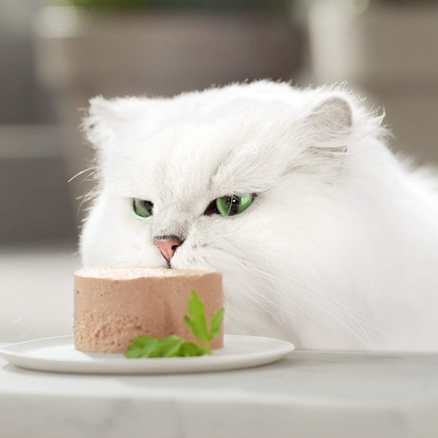 GOURMET Gold Mousse, Comida Húmeda para Gato Adulto, Mousse de Pescado del Océano, Pack de 24 Latas de 85 g