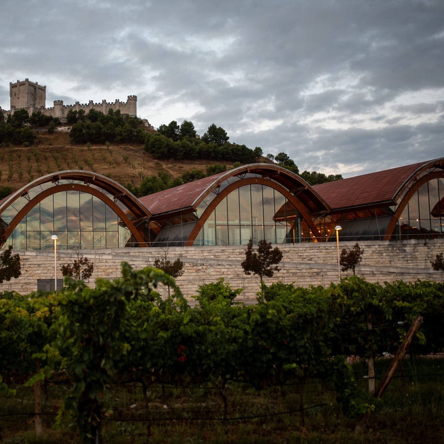 Protos Vino Tinto Crianza Magnum, Vino Tinto Crianza, Ribera del Duero150cl