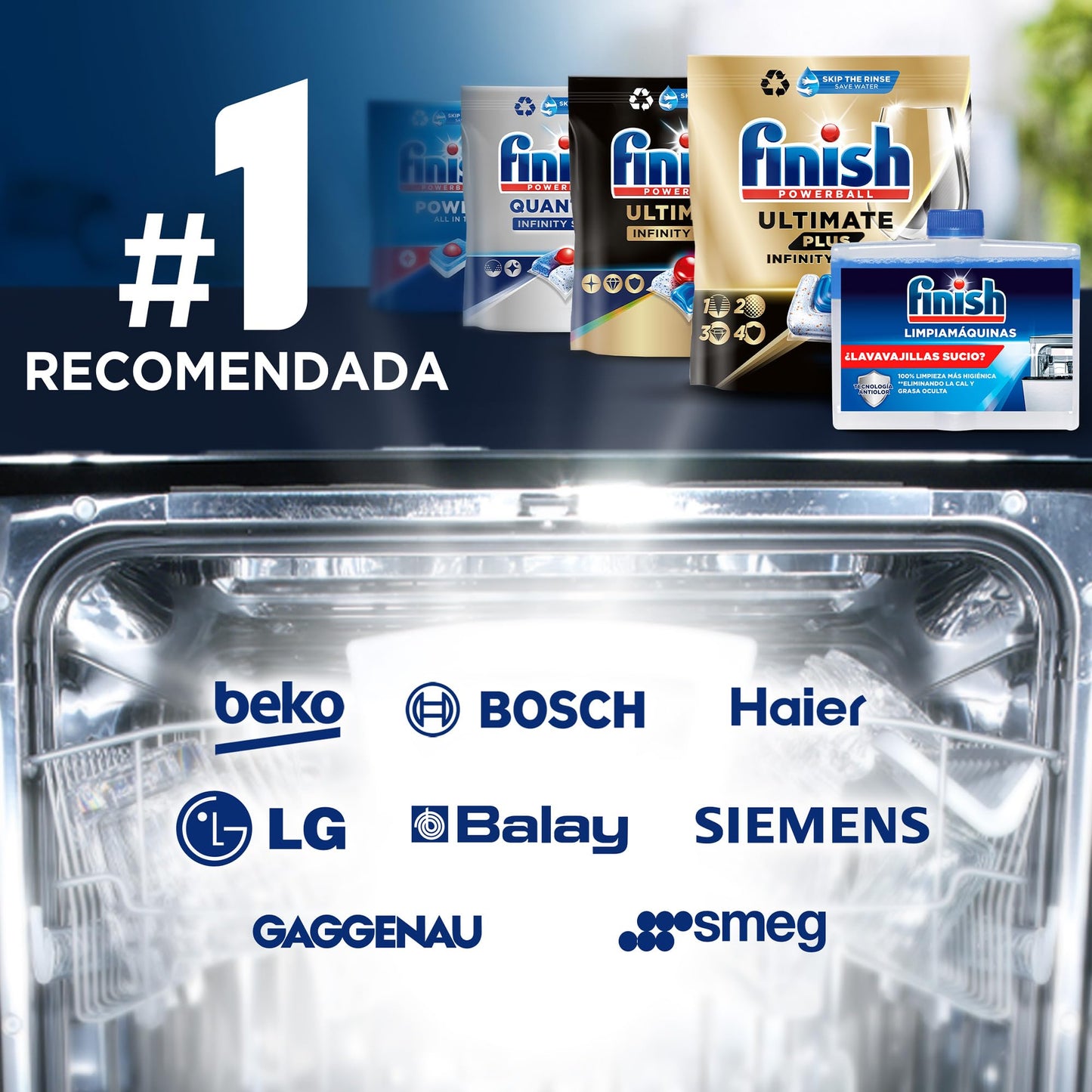 Finish Limpiamáquinas para Lavavajillas, Limpia lavavajillas contra el mal olor, la cal y la grasa del lavaplatos 4 x 250 ml