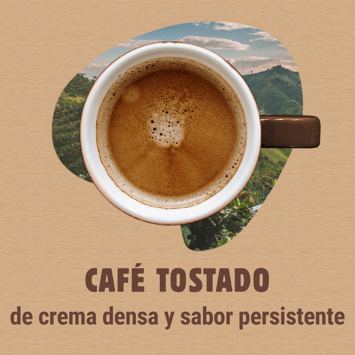 Bonka cafe en grano tostado natural para hostelería, Ideal para maquina de cafe Espresso - 1 paquete x 1 kg