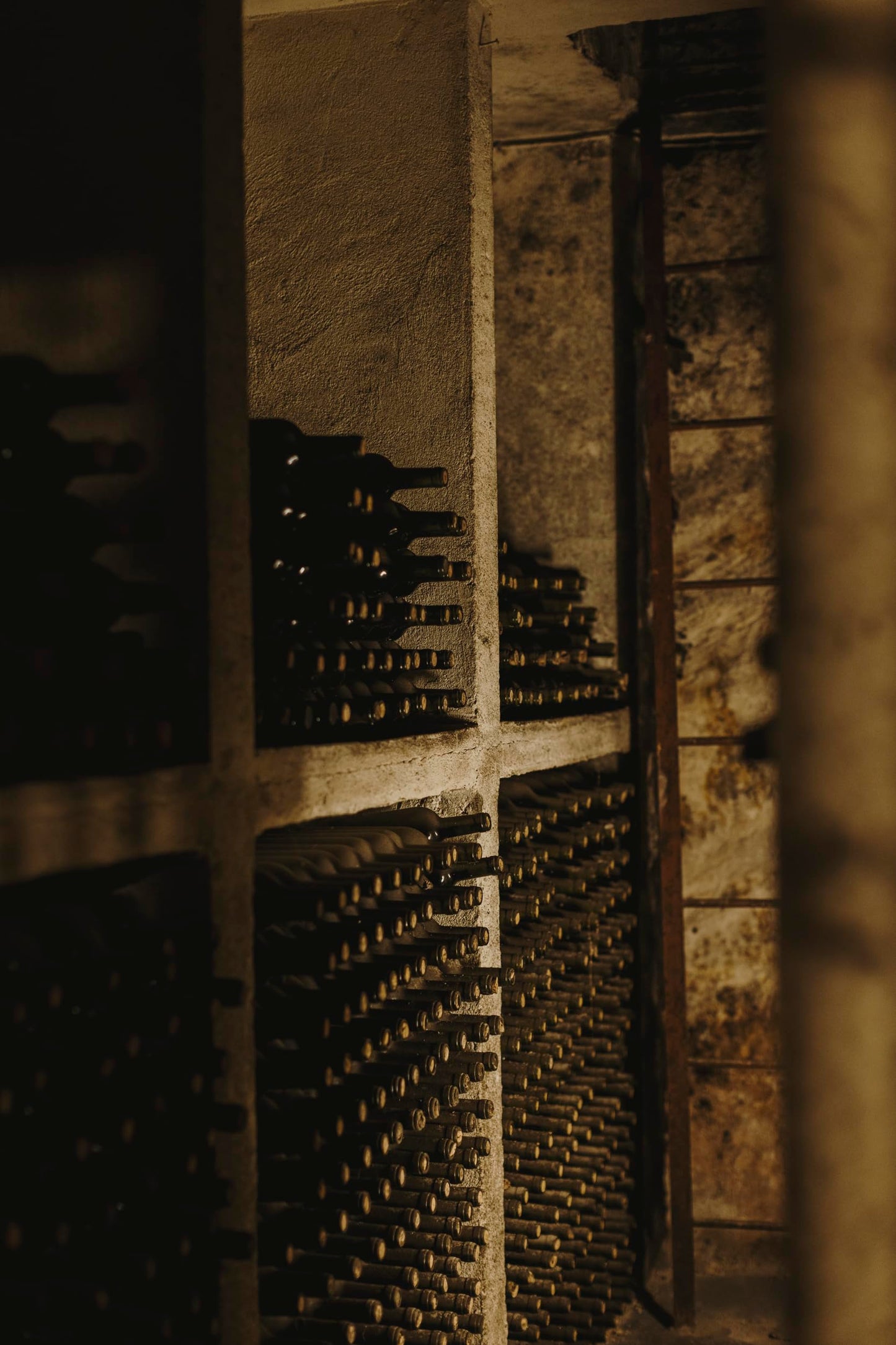 Protos Vino Tinto Crianza Magnum, Vino Tinto Crianza, Ribera del Duero150cl